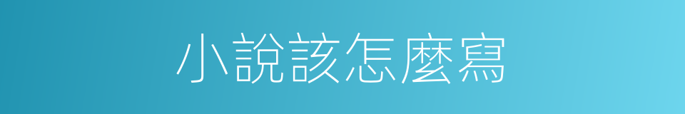 小說該怎麼寫的同義詞