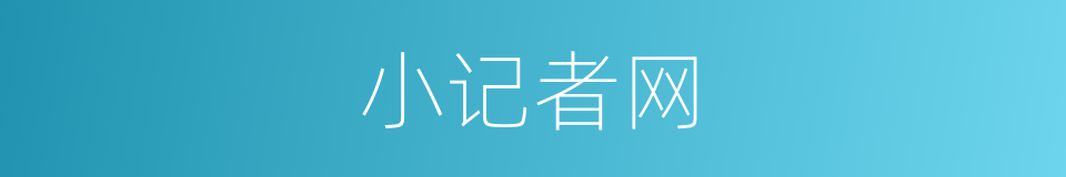 小记者网的同义词