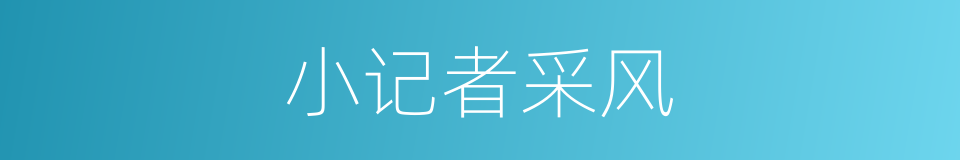 小记者采风的同义词