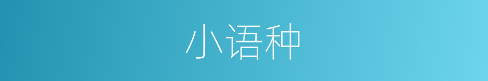 小语种的意思