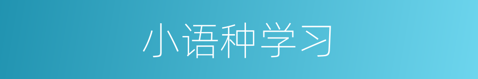 小语种学习的同义词