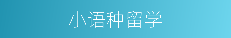 小语种留学的同义词