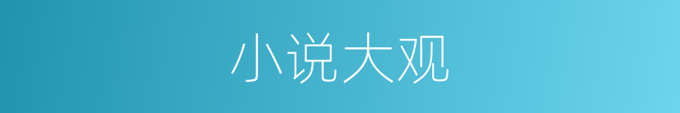 小说大观的同义词