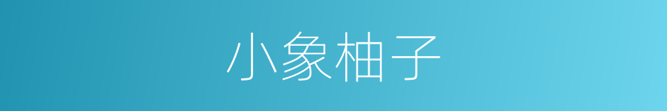 小象柚子的同义词