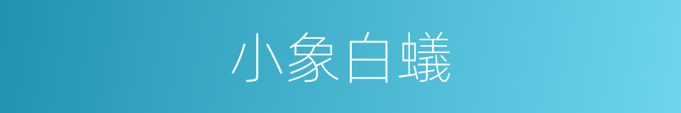 小象白蟻的同義詞
