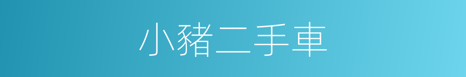 小豬二手車的同義詞