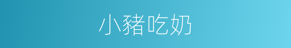 小豬吃奶的同義詞