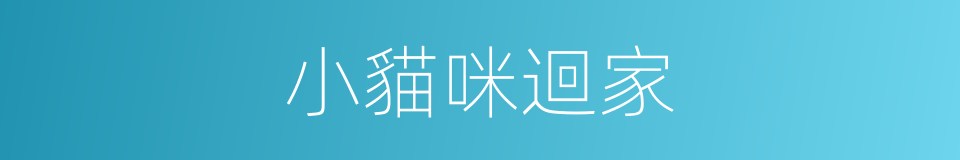 小貓咪迴家的同義詞