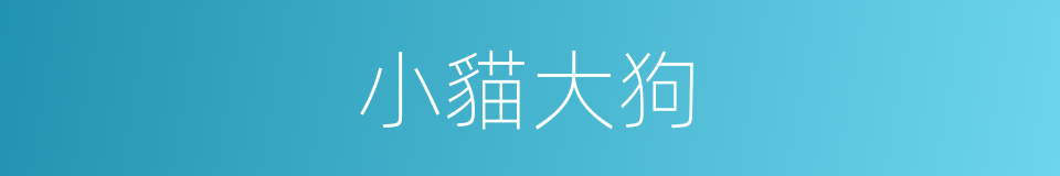 小貓大狗的同義詞