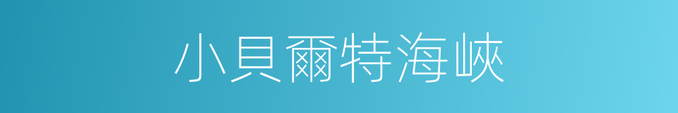 小貝爾特海峽的同義詞