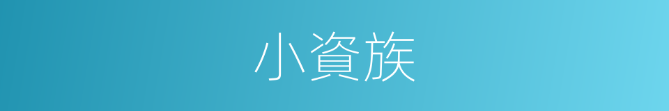 小資族的意思
