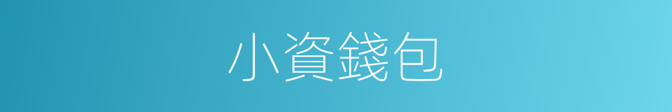 小資錢包的同義詞