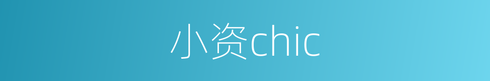 小资chic的同义词