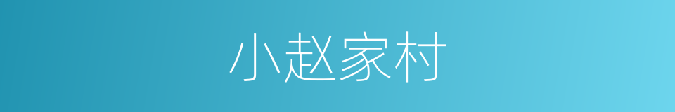 小赵家村的同义词
