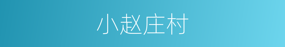 小赵庄村的同义词