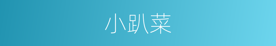 小趴菜的意思