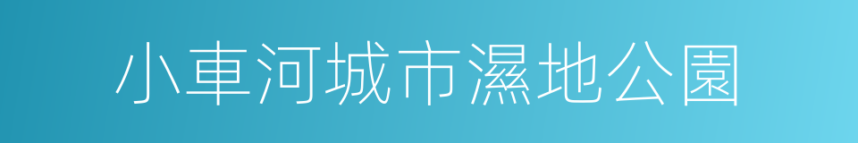 小車河城市濕地公園的同義詞