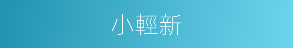 小輕新的意思