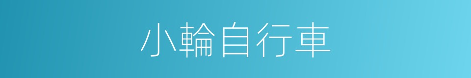 小輪自行車的同義詞