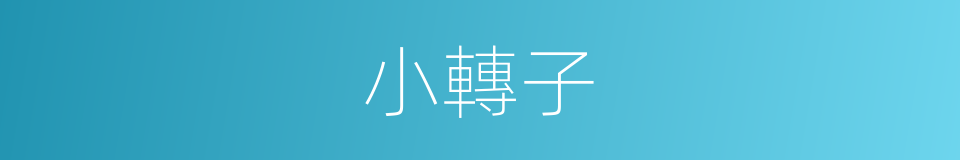 小轉子的同義詞