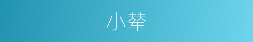 小辇的意思