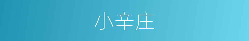 小辛庄的同义词