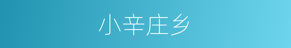 小辛庄乡的同义词