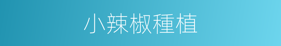 小辣椒種植的同義詞