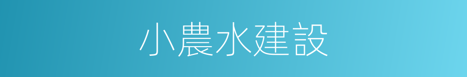 小農水建設的同義詞