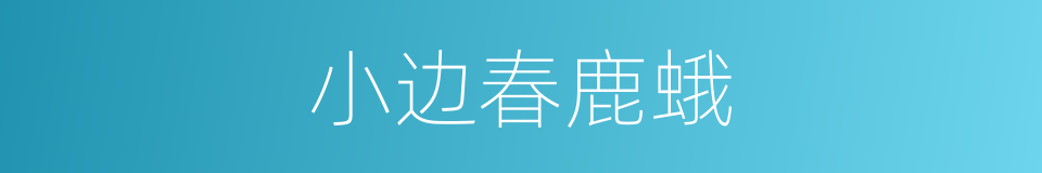 小边春鹿蛾的同义词