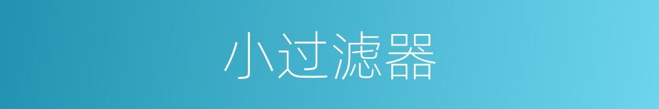 小过滤器的同义词