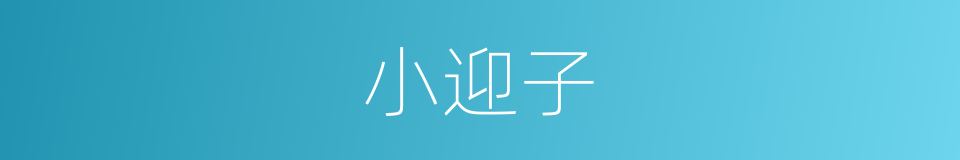 小迎子的同义词