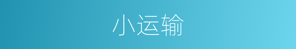 小运输的同义词