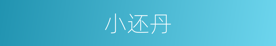 小还丹的同义词
