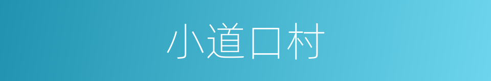 小道口村的同义词
