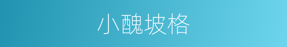 小醜坡格的同義詞