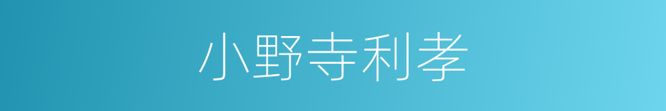 小野寺利孝的同义词