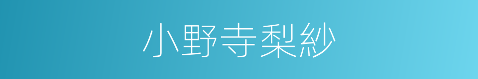 小野寺梨紗的同義詞