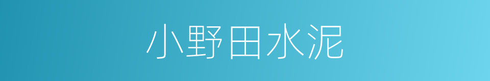 小野田水泥的同义词