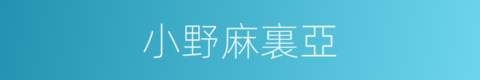 小野麻裏亞的同義詞