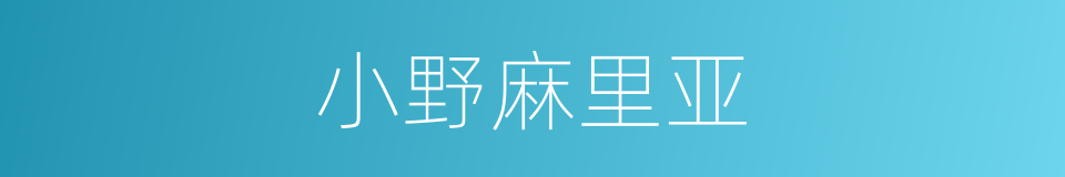 小野麻里亚的同义词