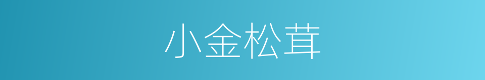 小金松茸的同义词