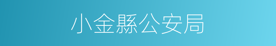 小金縣公安局的同義詞