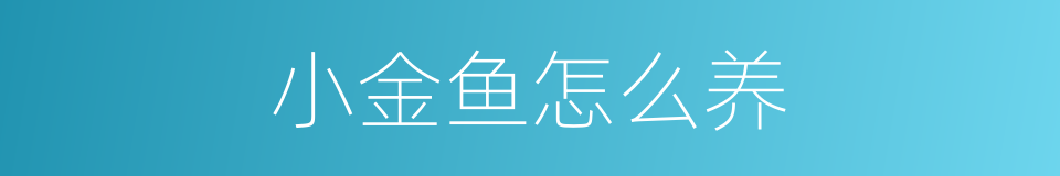 小金鱼怎么养的同义词
