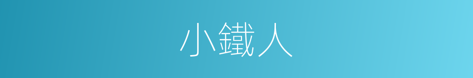 小鐵人的同義詞