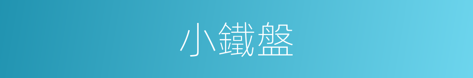 小鐵盤的同義詞