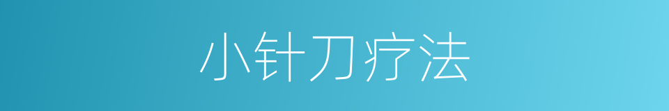 小针刀疗法的同义词