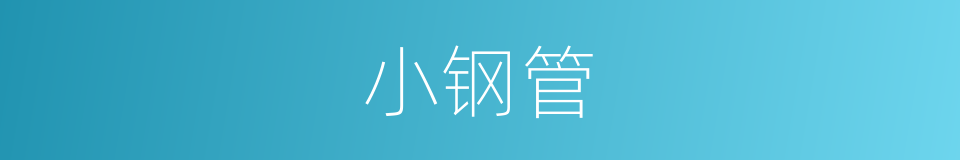 小钢管的同义词