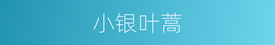 小银叶蒿的同义词