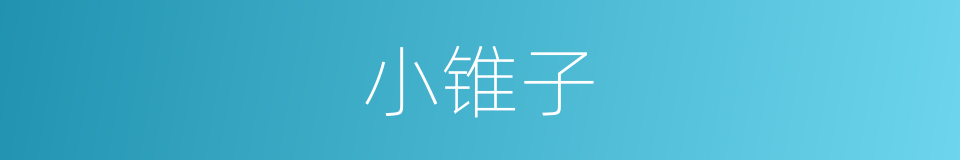 小锥子的同义词